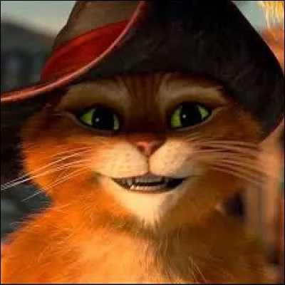 Combien de vies le Chat Potté a-t-il puisées lors de ces aventures ?