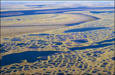Trois des quatre grands fleuves forment un large estuaire au niveau de leur embouchure mais, par exception, lequel se termine par un delta ?