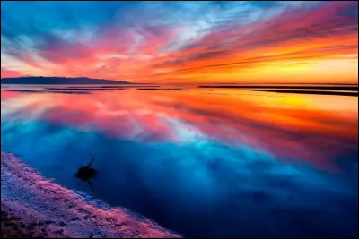 Un seul d'entre eux n'a pas sa source principale en Russie, mais bien en Mongolie. Lequel ?