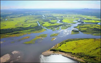 Le nom de ce fleuve provient d'un mot bouriate signifiant "boueux" en raison des nombreux alluvions qu'il draine et de sa couleur le plus souvent trouble et brunâtre. De quel fleuve parlons-nous ?