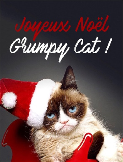Quelle est la particularité de Grumpy Cat ?