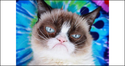 Pourquoi Grumpy Cat a-t-elle cette particularité ?