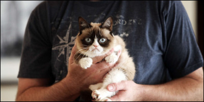 Quand est morte Grumpy Cat ?