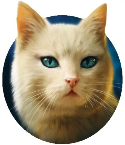 Qui est cette chatte ?