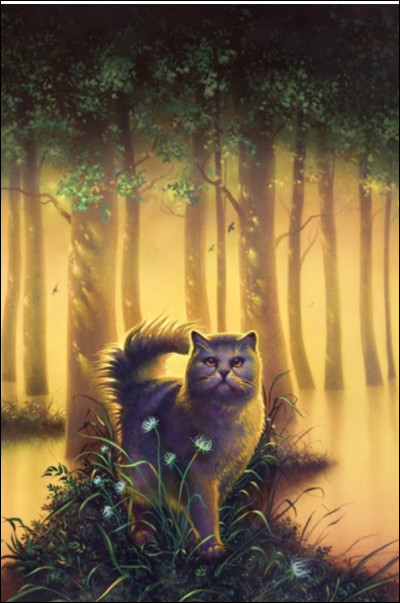 Qui est cette chatte ?