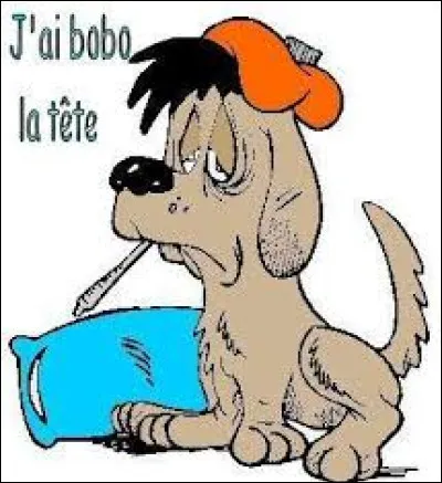 Comment appeler vos maux de tête ?