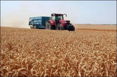 Terre à blé par excellence, elle se situe non loin de Paris et comprend l'une des plus belles cathédrales de France, c'est ?