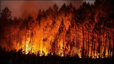 L'été 2022 a été particulièrement propice aux feux de forêt. Dans quel département français près de 32 000 hectares sont partis en fumée du 12 juillet au 14 août ?