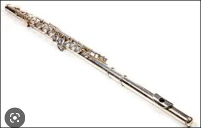 Quel est cet instrument ?