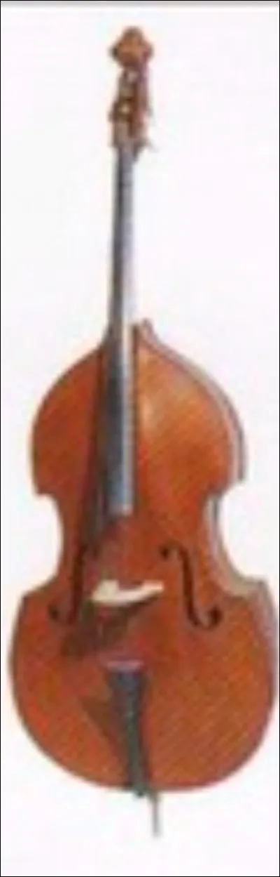 Quel est cet instrument ?