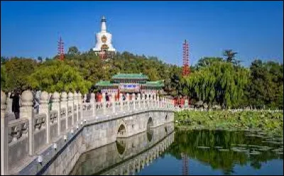 Art : Dans quel dessin-animé "Disney" peut-on voir la Cité interdite ?