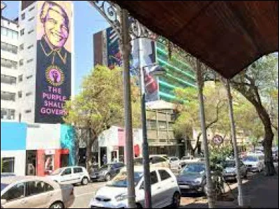 Insolite : Laquelle de ces anecdotes sur Johannesbourg est inexacte ?