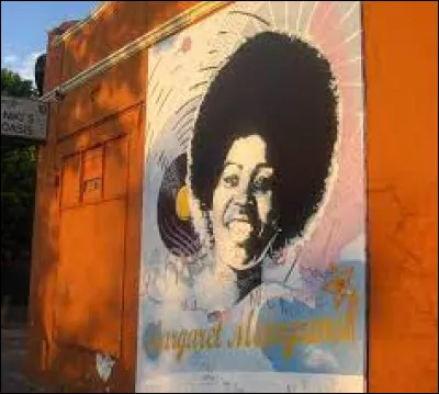 Culture : Quelle est la langue la plus parlée à Johannesbourg ?