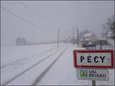 Il faut être bien prudent pour traverser la commue de Pécy. Village Seine-et-Marnais, il se situe en région ...