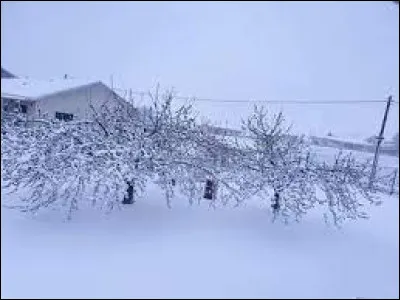 Village rhônalpin, dans l'aire d'attraction Romanaise, Crépol se situe dans le département...
