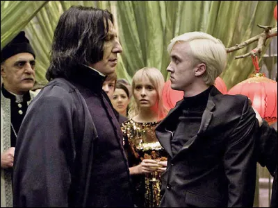 Quel est ton personnage pr&eacute;f&eacute;r&eacute; dans ''Harry Potter'' ? (Gar&ccedil;on)