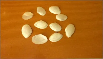 Quel nom porte la monnaie d'argent de l'ancien royaume de Pologne ?