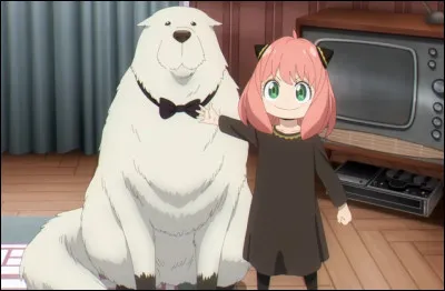 Quel est le pouvoir de Bond, le chien ?