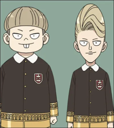 Ces deux garçons sont des...