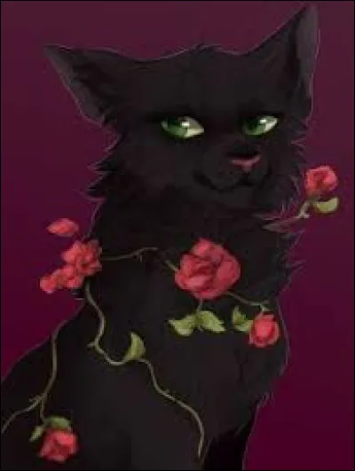 Pourquoi Poil dÉcureuil a-t-elle demandé le préfixe "Feuille" pour le nom de Feuille de Houx ?