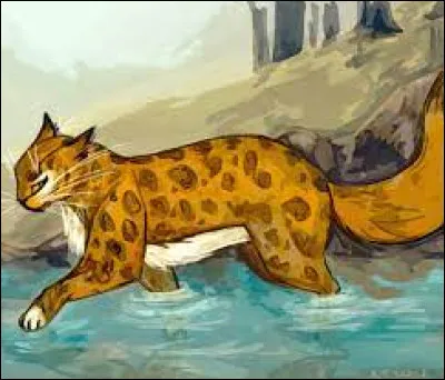 Pourquoi Étoile du Léopard a-t-elle rejoint le Clan du Tigre ?