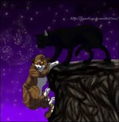 Feuille de Lune a du sang du Clan du Tonnerre, mais quels autres gènes la composent ?