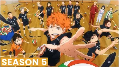 Qui est l'auteur de ce manga ?