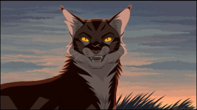 Ils ont été les mentors dÉtoile du Tigre. Qui ?