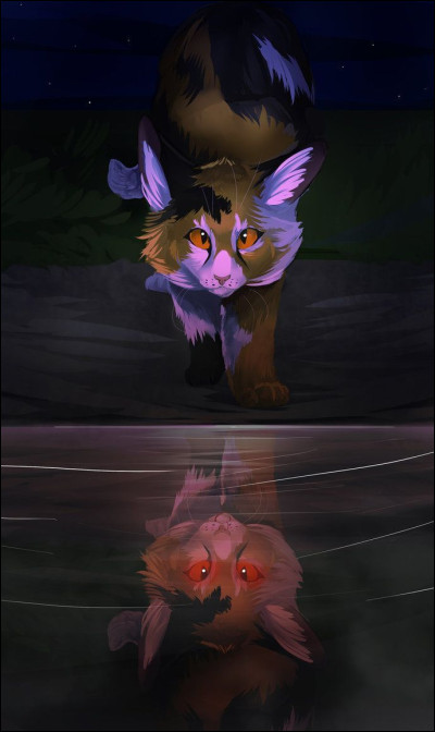 Ils ont été les mentors dOmbre dÉrable. Qui ?