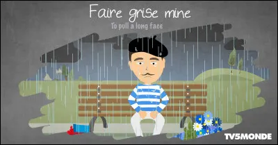 Quand on nous dit que l'on a "grise mine", on nous dit...