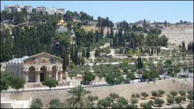 Sport : Quel est le sport le plus populaire après le football à Jérusalem ?