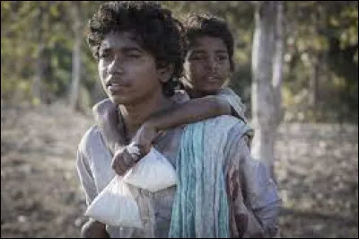 Art : Comment s'appelle ce film de Garth Davis inspiré d'une histoire vraie dans lequel un jeune garçon né à Calcutta se perd et apprend à vivre seul dans la ville avant d'être adopté ?
