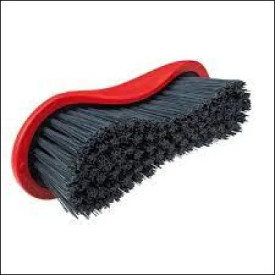 Comment s'appelle cette brosse ? (voir ci-dessus)