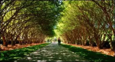 Insolite : Laquelle de ces anecdotes sur la ville de Dallas est inexacte ?