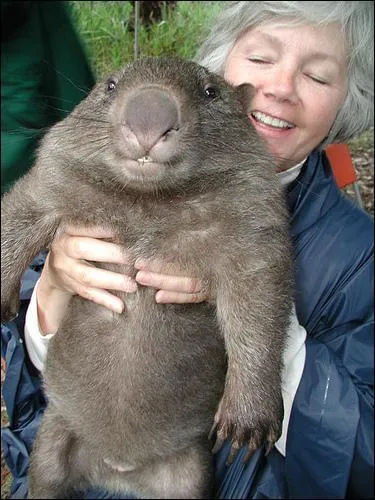 Comment se nomme t-il ?