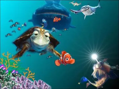 Quel est le surnom que les autres poissons de l'aquarium donnent  Nmo ?