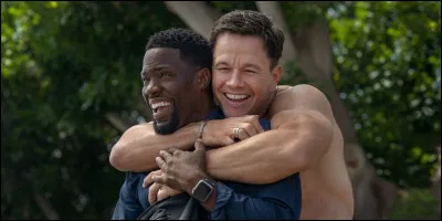 Un film sorti le 26 août 2022 sur Netflix. Quel est ce film, qui est une comédie, réalisé par John Hamburg, dans lequel on peut voir Kevin Hart, Mark Wahlberg, Regina Hall et Seal ?
