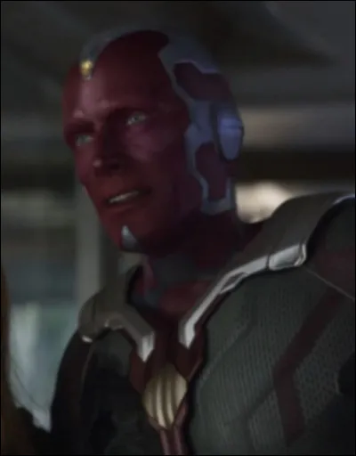 Qui incarne Vision ?