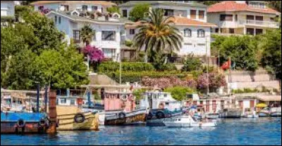 Géographie : Comment s'appellent ces îles dans la mer de Marmara au sud-est d'Istanbul ?