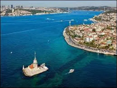 Culture : Quelle fleur est mise à l'honneur chaque année lors d'un festival qui se déroule à Istanbul ?