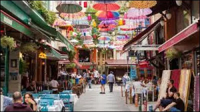 Culture : Quel est le gentilé des habitants d'Istanbul ?