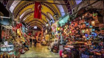 Culture : Comment est surnommée la ville d'Istanbul ?