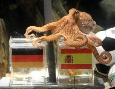 Quel est le score de la seconde demi-finale Allemagne / Espagne ?