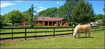 Quelle couleur préfères-tu ?