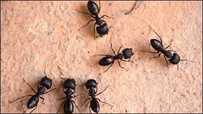 Une expression les situe à cet endroit !