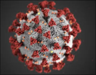 As-tu encore peur du Covid ?