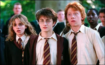 Que penses-tu des Moldus ?