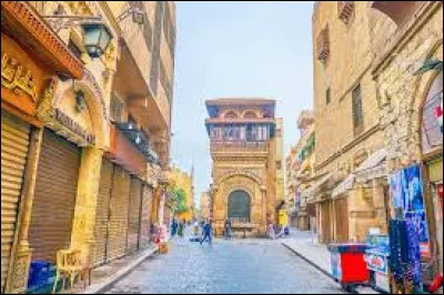 Politique : Quelle organisation internationale a son siège au Caire ?