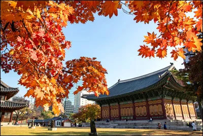Culture : Combien d'habitants compte la ville de Séoul ?