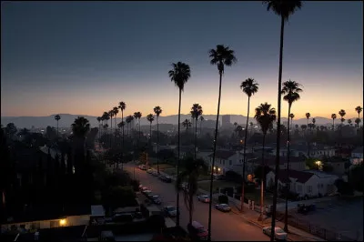 À qui doit-on la chanson "California dreamin' " ?